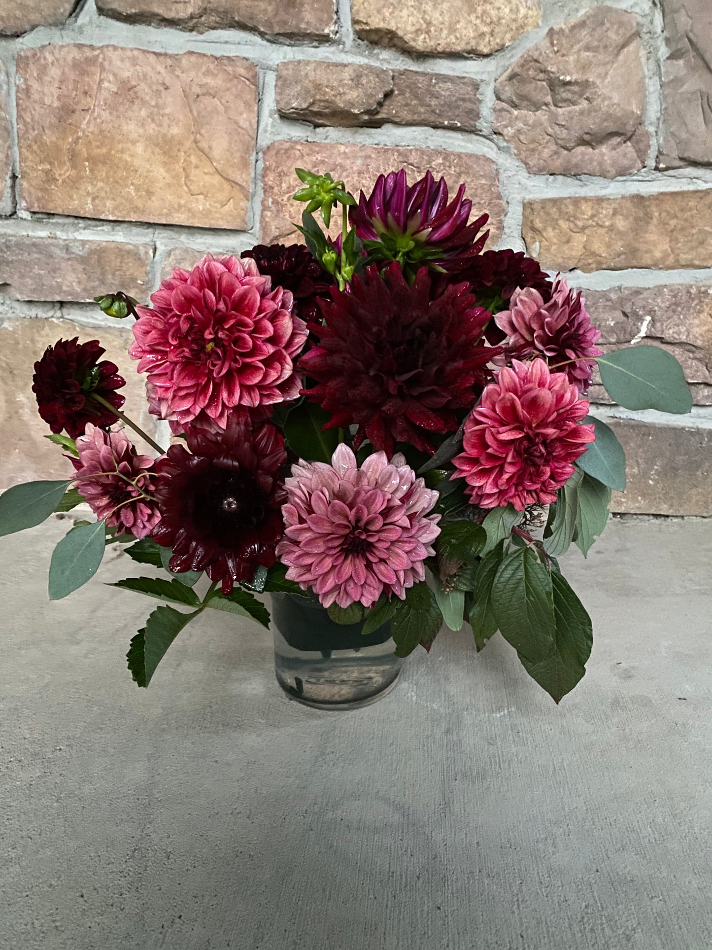 Bloomquist York (Pot Tubers)