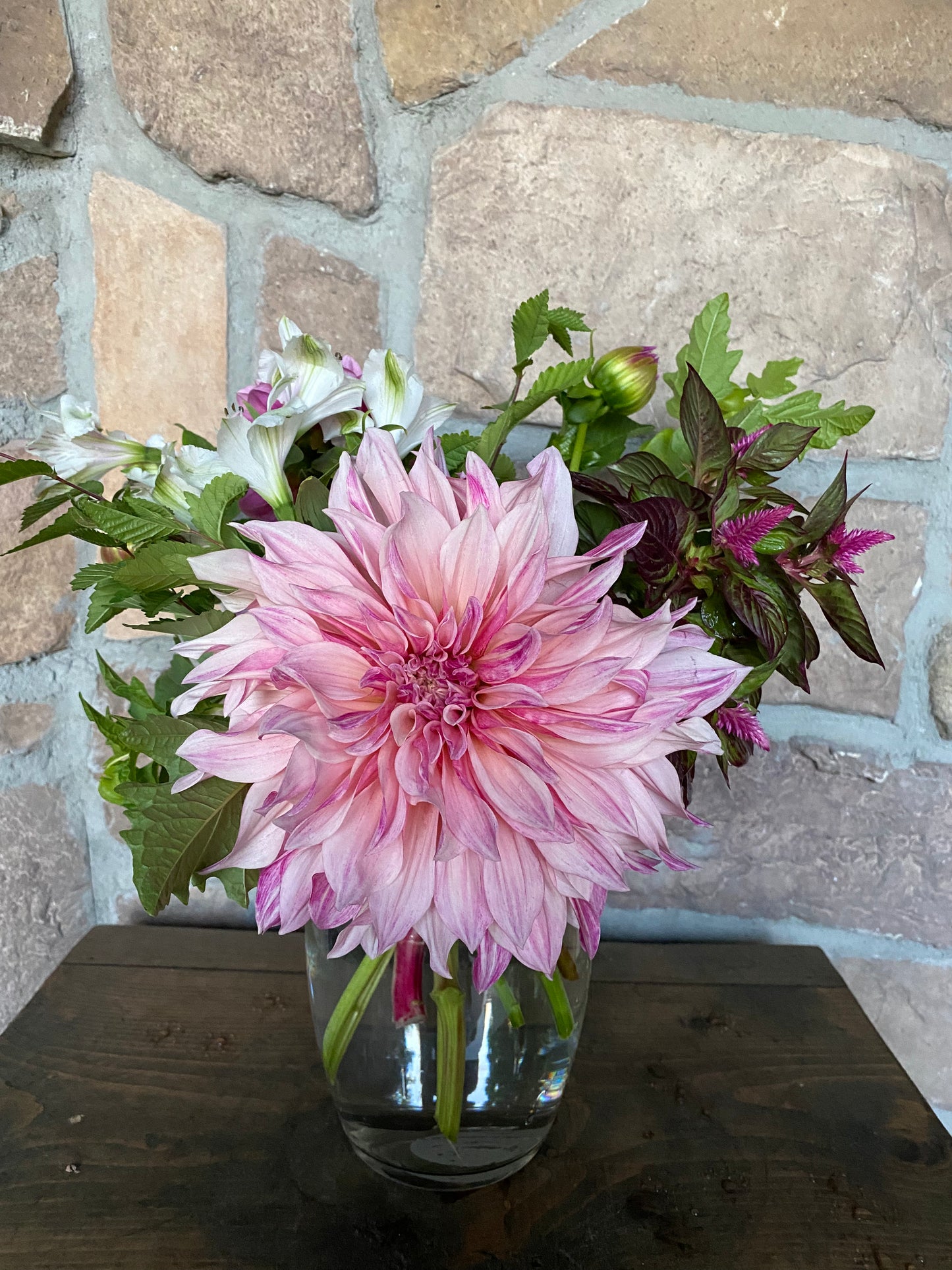 Cafe' Au Lait Royal (Pot Tubers)