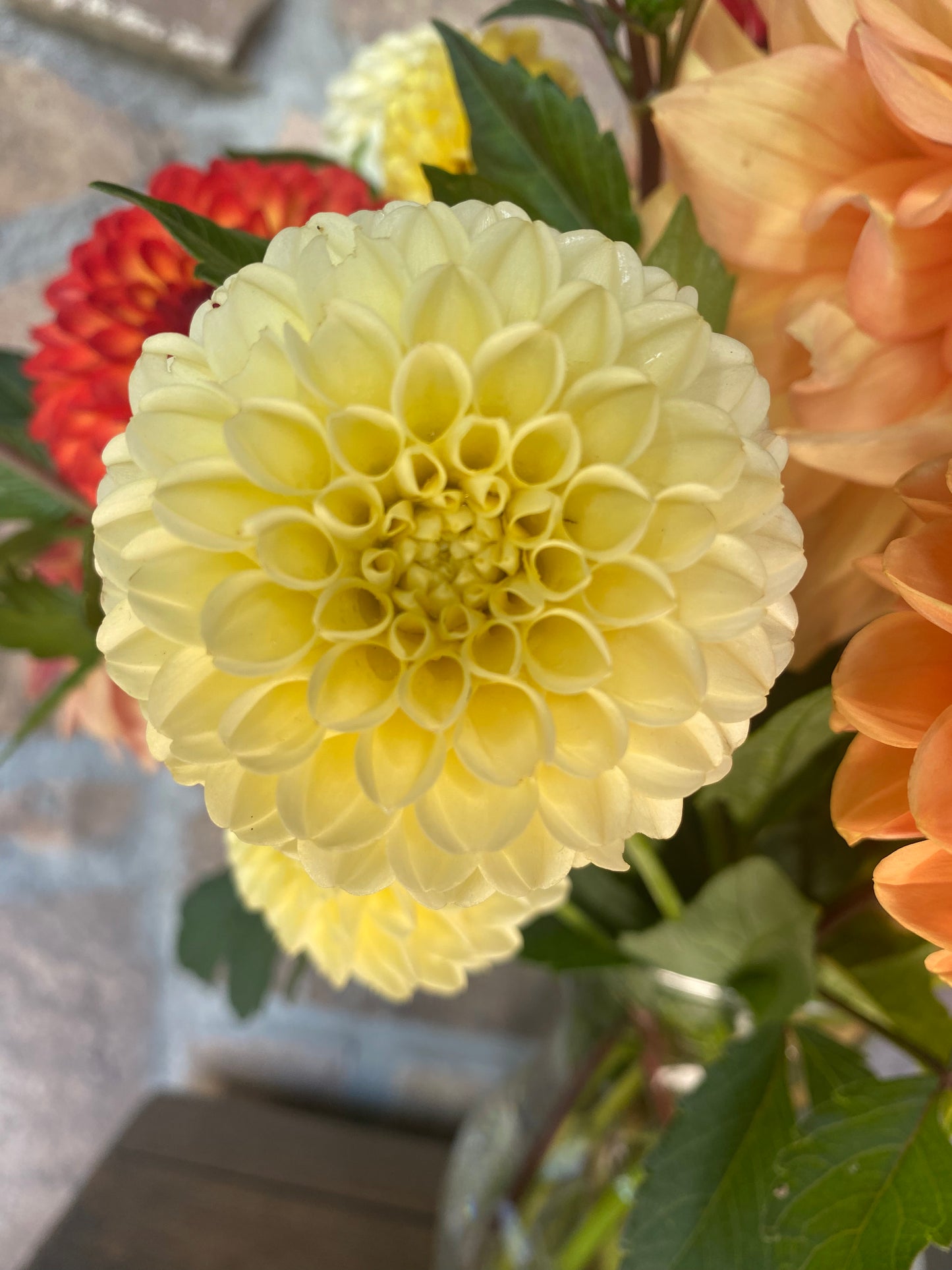 MM Buttercream- (single tuber)