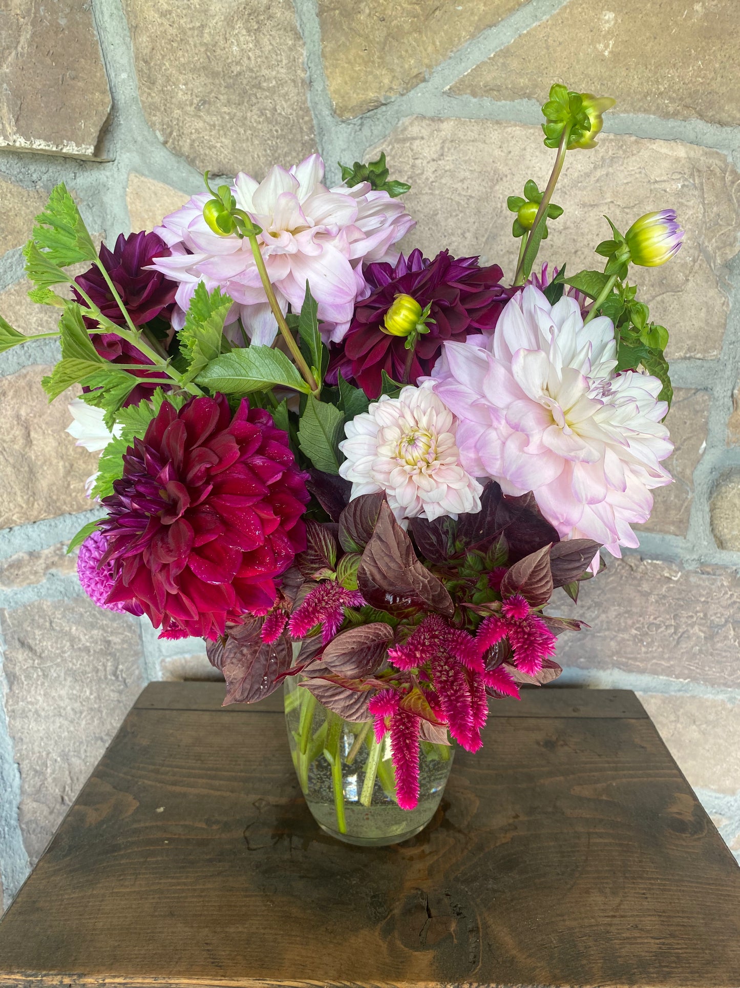 Mikayla Miranda (Pot Tubers)