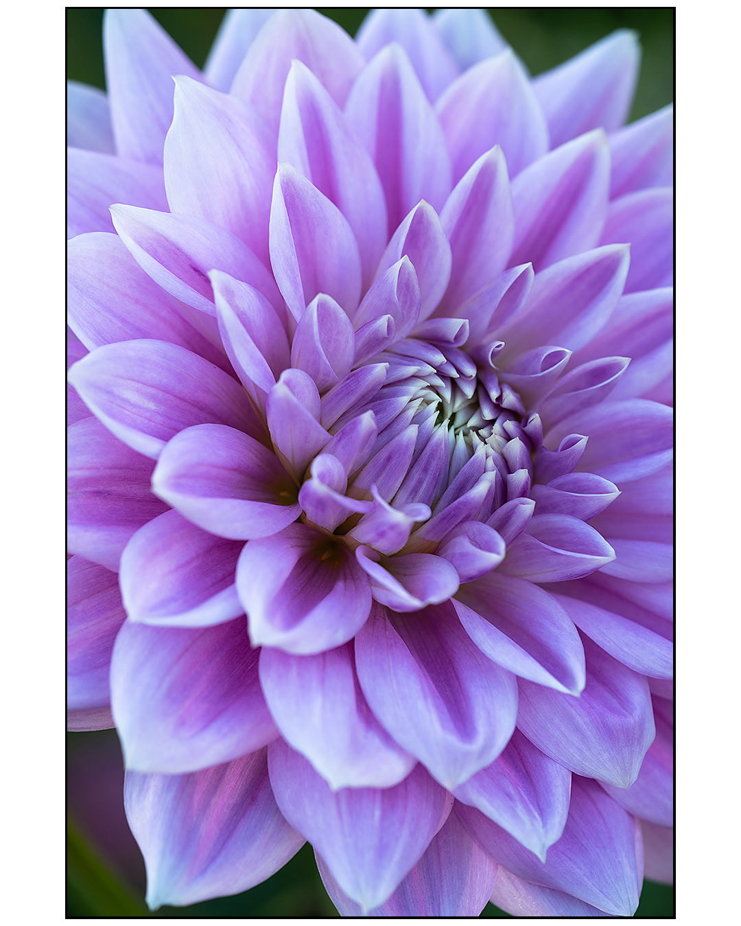 Ferncliff Inspiration