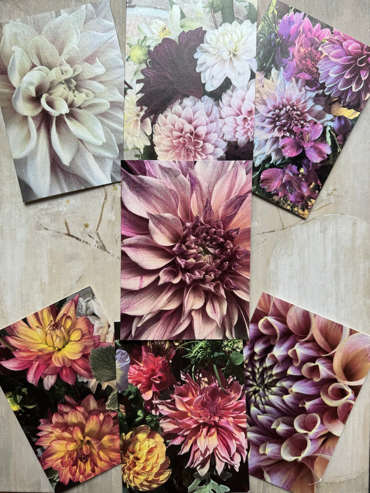 Pearlized Dahlia Blank Cards- Breakout Multipack