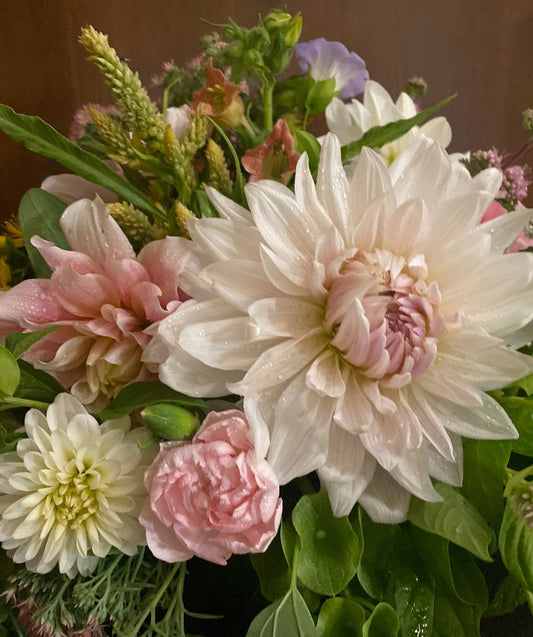 Danique Pot Tubers