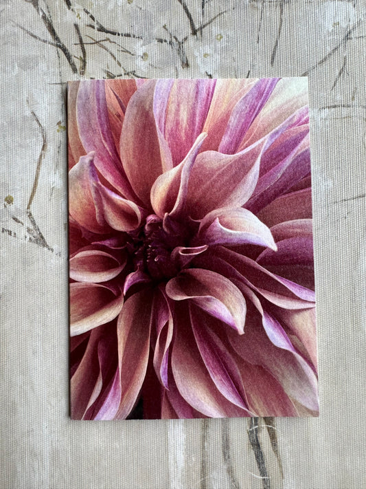 Pearlized Dahlia Blank Cards- Labyrinth Multi Pack