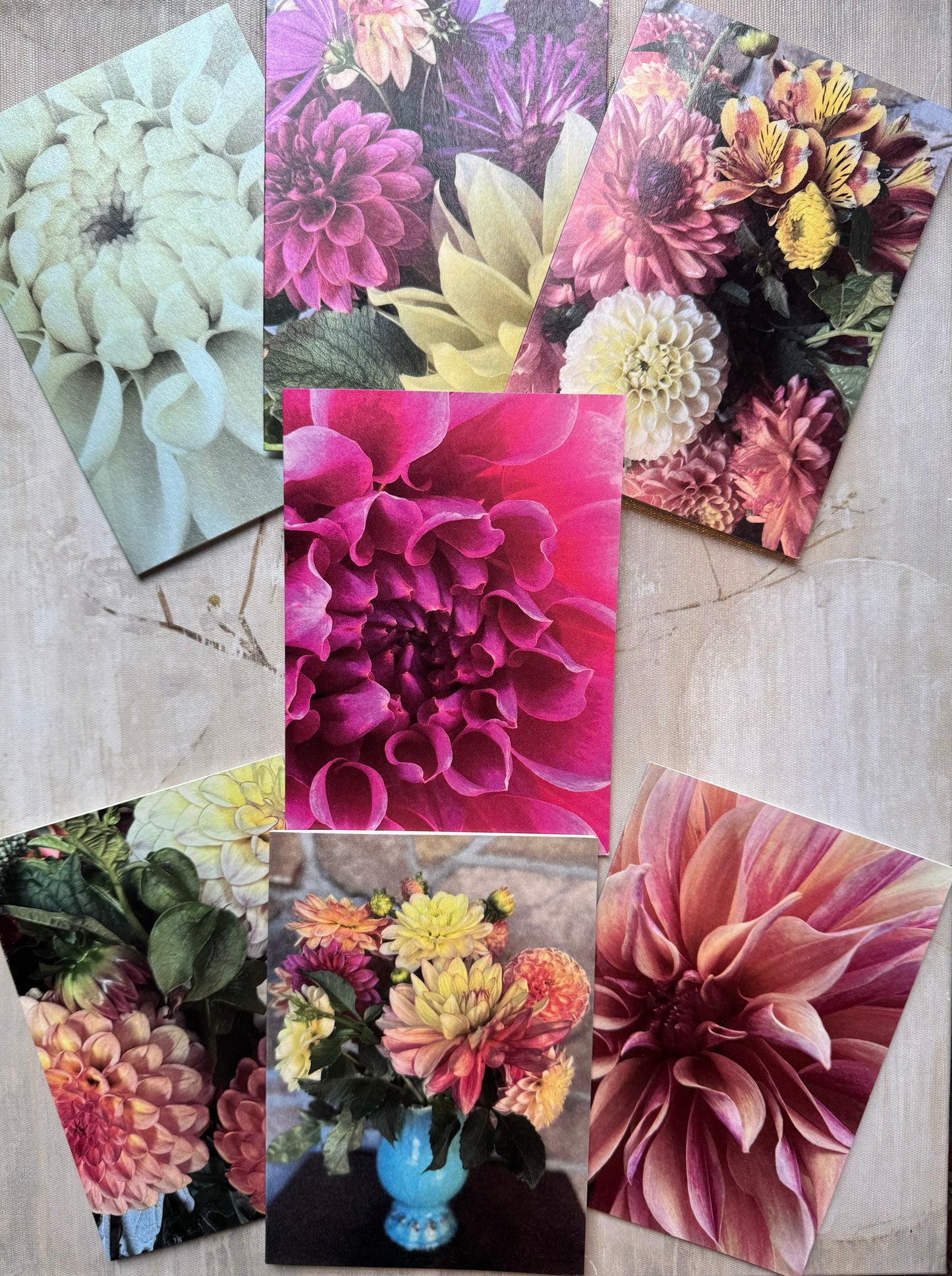 Pearlized Dahlia Blank Cards- Labyrinth Multi Pack